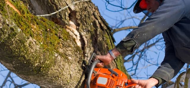 Tree Service Hero
